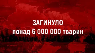 Загибель тварин 6 000 000