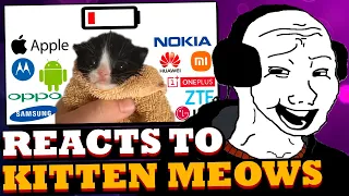 Wojak Reacts to Kitten Meows But Phones Low Battery Sounds!