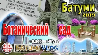 БОТАНИЧЕСКИЙ САД БАТУМИ 2019