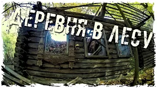 ЗАБРОШЕННАЯ ДЕРЕВНЯ "ДЕРЕВНЯ В ЛЕСУ" #заброшка #сталкер #находка #деревня #рассказ