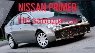 Nissan Primera  2005 ДОЛГО НЕ МОГЛИ ЗАПУСТИТЬ