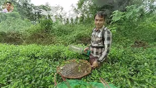 চাহ পাত কটা মেচিন, Tea cutting machine