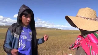 CANCIÓN DE AMOR EN AYMARA