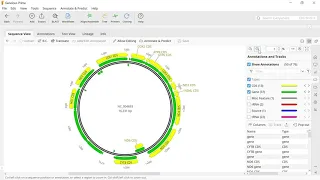 How to download Chanos chanos mitochondrial genome using Geneious Prime Software and export as txt.