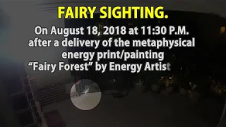 Authentic Fairy Sighting Captured On Security Camera