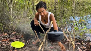 JARAQUI AND ARACU BOILER AMIDST NATURE IN THE AMAZONAS