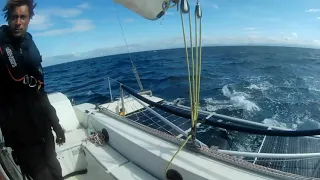 SV Pantera vs Orca attack on the Gibraltar Strait!!!! 😵🌊⛵🌊