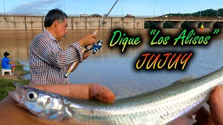 Dique Los Alisos, Pesca de Pejerrey en JUJUY 2022