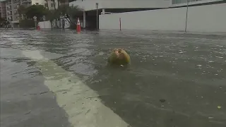 High tides reported for second day in South Florida