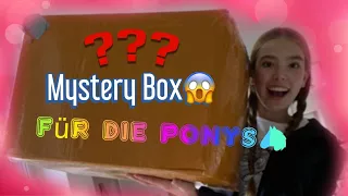 100€ MYSTERY BOX UNBOXING! PFERDE-EDITION