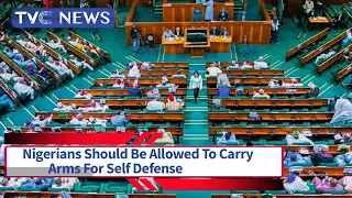 Nigerians Should Be Allowed To Carry Arms For Self Defense - Reps