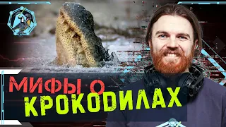 Мифы о «живых ископаемых» крокодилах. Дмитрий Пащенко. Ученые против мифов Z-2