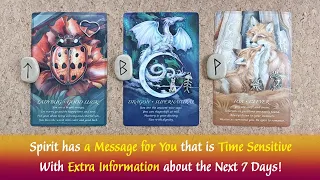 Spirit has a Time Sensitive Message for You 🤩😊🤗🥰💕with Extra Information about the Next 7 Days