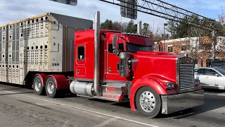 Largecars Galore Truckspotting in the Fall Colors throughout Central NC