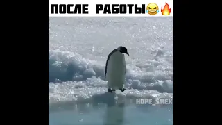 ПРИКОЛ 😂.Очень смешные видео.приколы тик ток.#юмор #приколы #2022 #Shorts