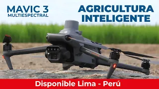 Presentando al Mavic 3 Multiespectral - Perú 🎉