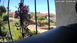 security cam captures strange figure in my garden