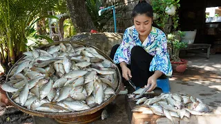 '' Freshwater fishes ''Mommy chef in countryside cooking 4 recipes with fishes - Countryside life TV