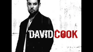 David Cook - Eleanor Rigby