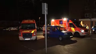 Zwei Menschen in Hannover durch Hund getötet