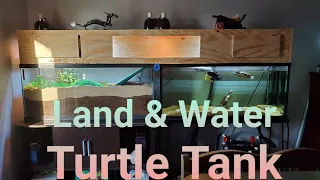 Turtle Tank Land and Water