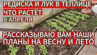 ВОТ КАКАЯ РЕДИСКА И ЛУК В ТЕПЛИЦЕ ! НАШИ ПЛАНЫ НА ВЕСНУ И ЛЕТО . ОБЗОР САДА И ОГОРОДА 8 АПРЕЛЯ