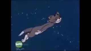 Tom And Jerry Cartoons