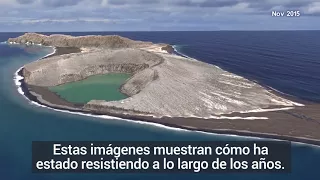 Un volcán submarino ha creado una nueva isla misteriosa en el Pacífico Sur