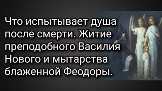 Что испытывает душа после смерти. Мытарства блаженной Феодоры. Житие преподобного Василия Нового.