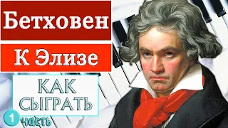 К Элизе на пианино обучение Урок №1 как играть разбор туториал легко медленно для начинающих ноты