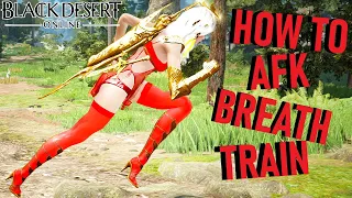 HOW TO AFK LEVEL YOUR STAMINA FAST | Black Desert Online