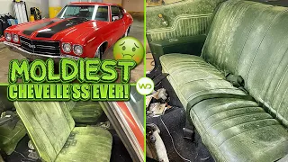 Deep Cleaning the MOLDIEST 1970 Chevelle SS EVER! | Satisfying DISASTER Car Detailing Transformation