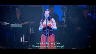 Evanescence Synthesis Live - My Immortal (Sub Español/Ingles)