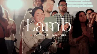 Lamb (Live from Harbour) | Elevation Worship | Tiffany Hudson | Steadfast Worship