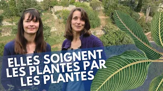 Elles soignent les plantes par les plantes !