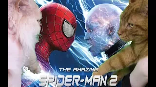 The Amazing Spider-Man 2- Mr. Sakamoto Angry Reviews