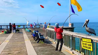 They Were STACKED At THIS Gulf Pier! *Crazy Action*