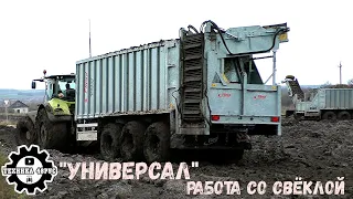 Универсальный прицеп Fliegl ASW 381. Тест-драйв перегружателя на свёкле. Уборка сахарной свёклы