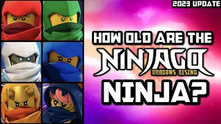 Ninjago: Ninjas' Real Ages? 🐲 Dragons Rising Update!