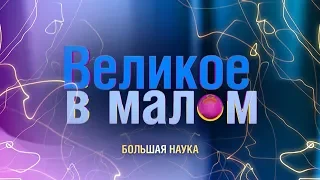 Великое в малом. Биология потребностей. 22 сентября 2019.