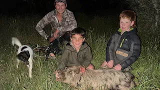 Bow Hunting Feral Pigs | Quick Evening Ambush
