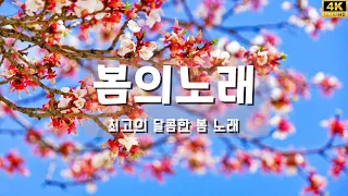 봄이오면 울려퍼지는 봄노래리스트 -  [PLAYLIST]따스한 봄날 듣기좋은 달달한 노래 BEST 20곡 - 봄에 듣기 좋은 감성적인 노래 - 상큼하고 부드러운 봄 노래