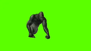 gorilla. cartoon character video.RrrzKumar