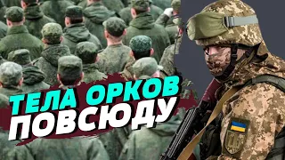 Потери рф за год в Украине такие же, как и суммарные потери США во Вьетнаме за 8 лет — Валерий Рябых