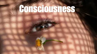 What is Consciousness Part 2|| How do "YOU" Experience