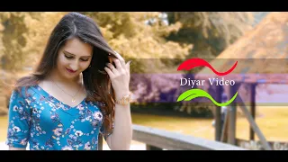 Diyar & Aveein Wedding Clip By Diyar Video