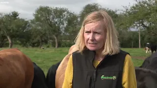 Save British Farming's founder, Liz Webster on her Wiltshire farm