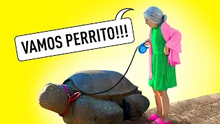 SI MI MAMÁ FUERA UN SUPERHÉROE | Mi abuela es una estrella de TIKTOK by La La Amigos