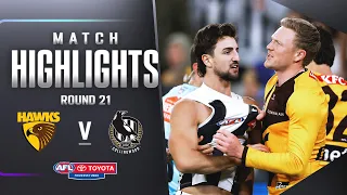 Hawthorn v Collingwood Highlights | Round 21, 2023 | AFL