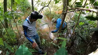 Nueva técnica! como pescar y cocinar cachamas monstruo sin canoa ni motor.